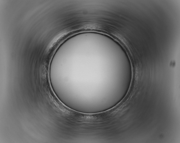 X0000115301115200911161651