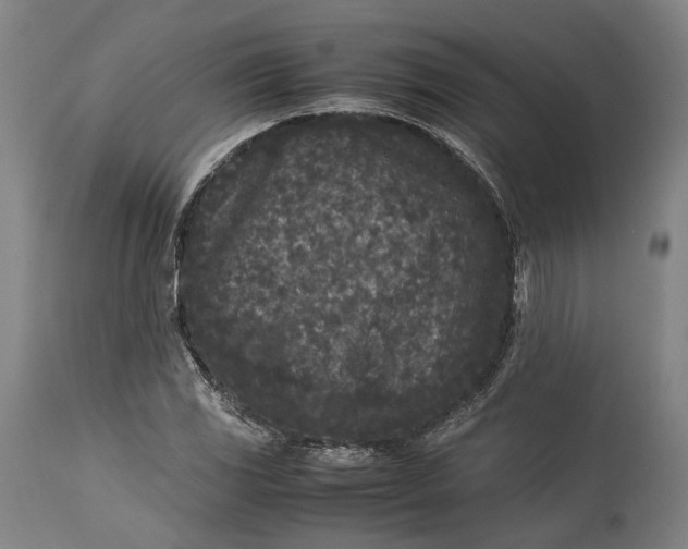 X0000115301117200911161651