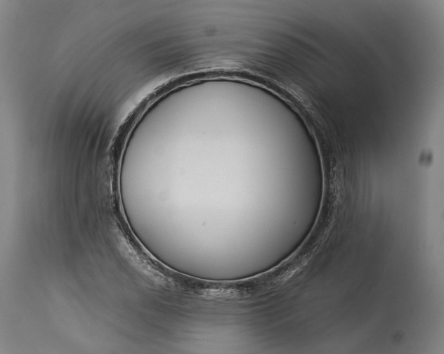 X0000115301118200911161651