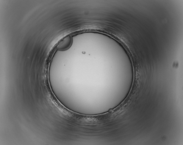 X0000115301119200911161651