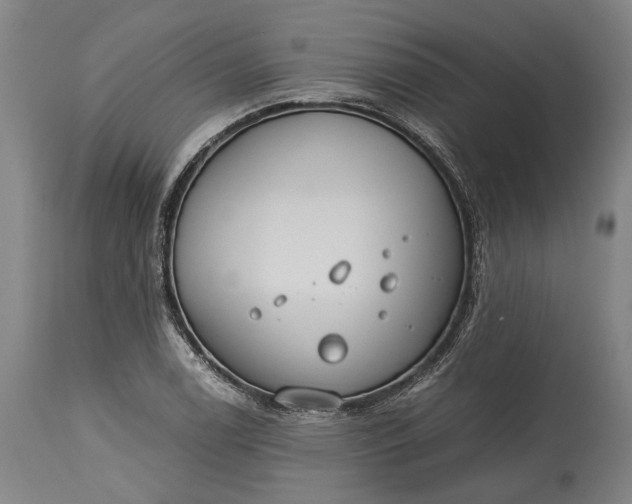 X0000115301122200911161651