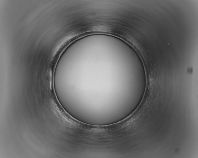 X0000115301123200911161651