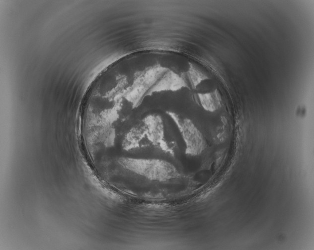 X0000115301125200911161651