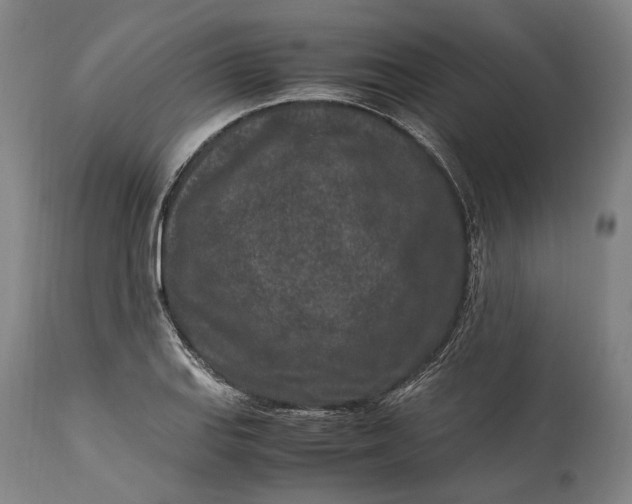 X0000115301127200911161651