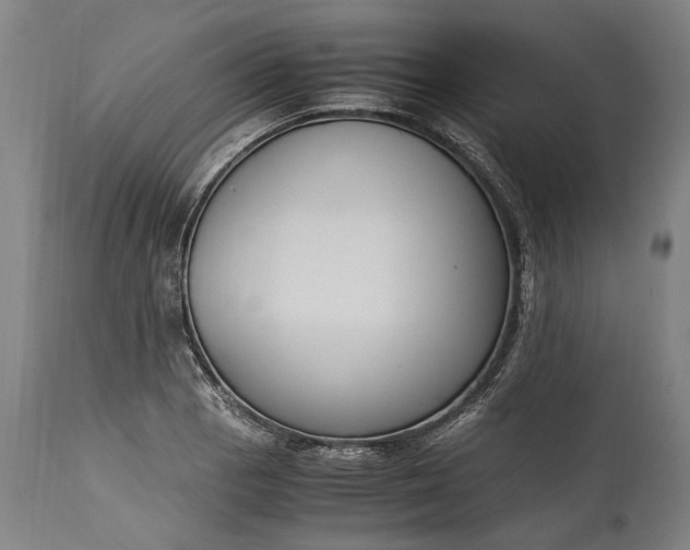 X0000115301129200911161651