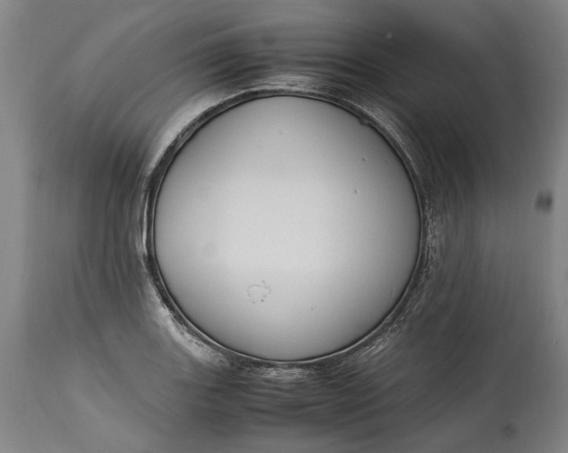 X0000115301131200911161651