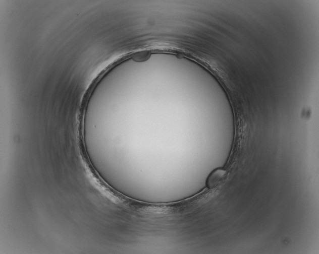 X0000115301134200911161651