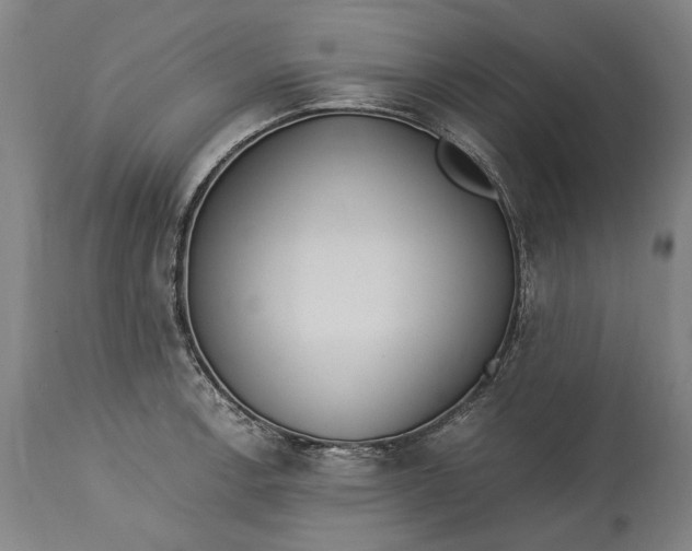 X0000115301138200911161651