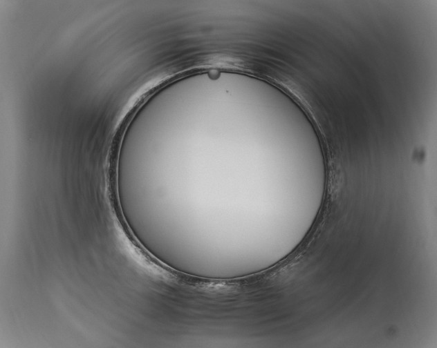 X0000115301139200911161651