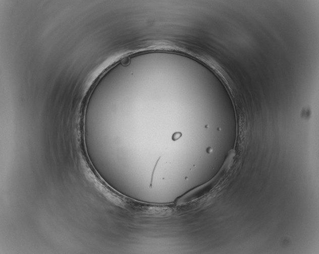 X0000115301142200911161651