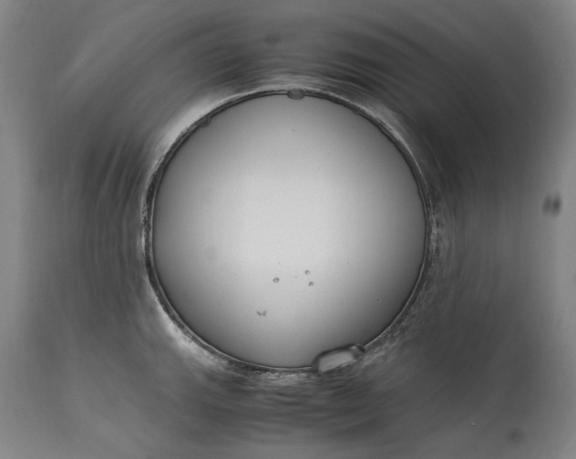 X0000115301143200911161651