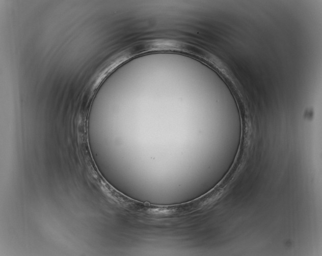 X0000115301145200911161651