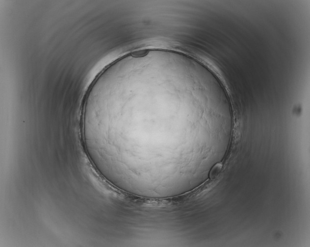 X0000115301146200911161651