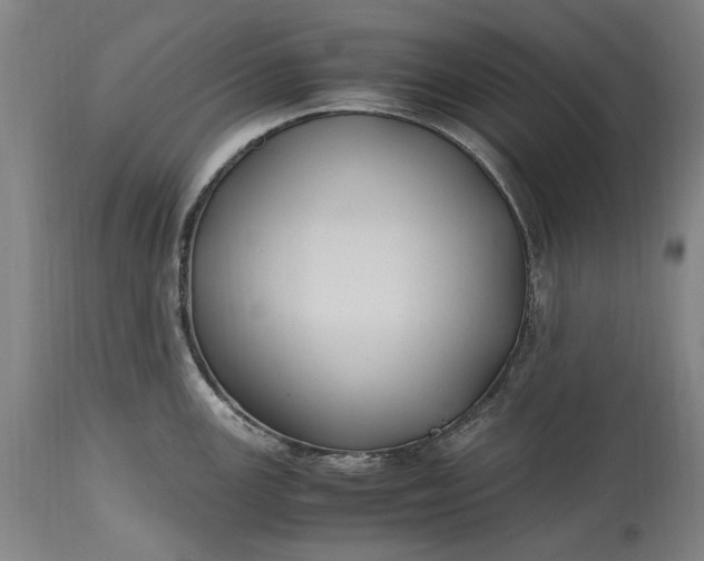 X0000115301147200911161651