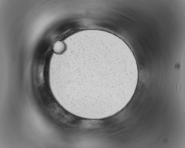 X0000115301150200911161651