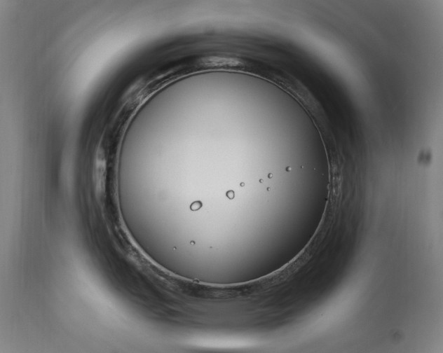 X0000115301151200911161651