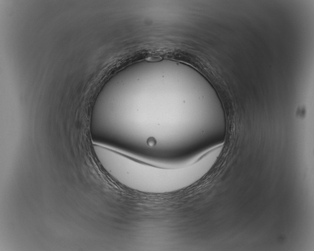 X0000115301153200911161651