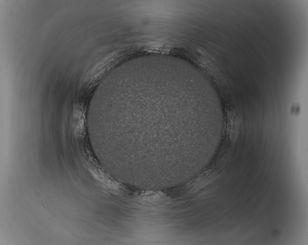 X0000115301154200911161651