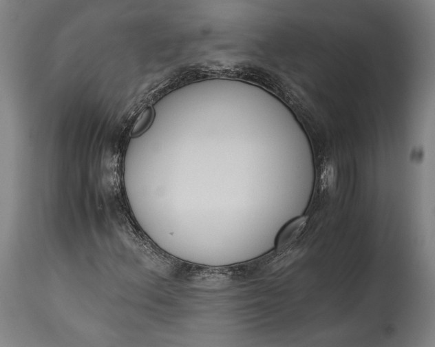 X0000115301156200911161651