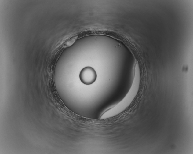 X0000115301157200911161651