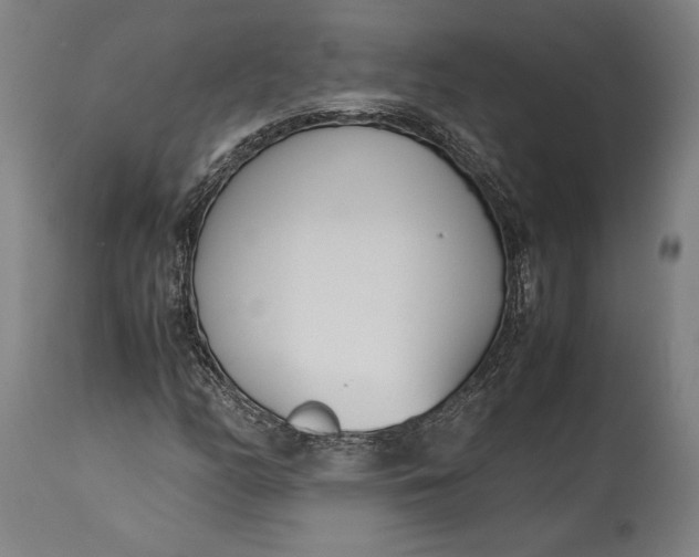 X0000115301158200911161651