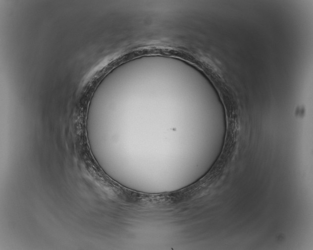 X0000115301159200911161651