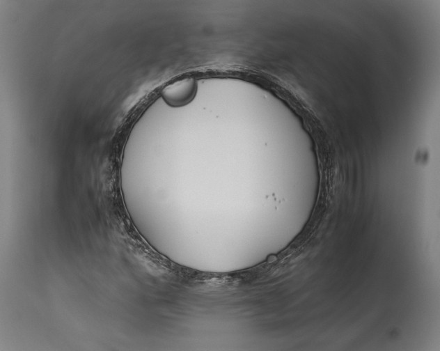 X0000115301160200911161651