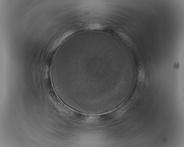 X0000115301161200911161651