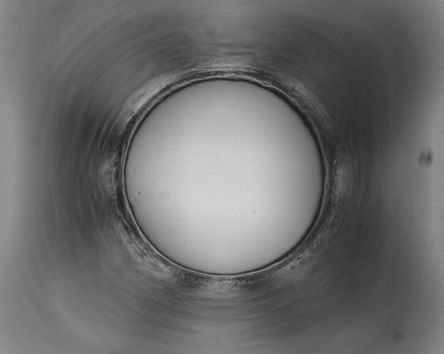 X0000115301162200911161651