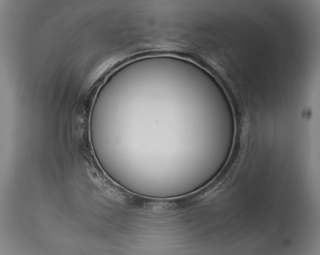 X0000115301163200911161651