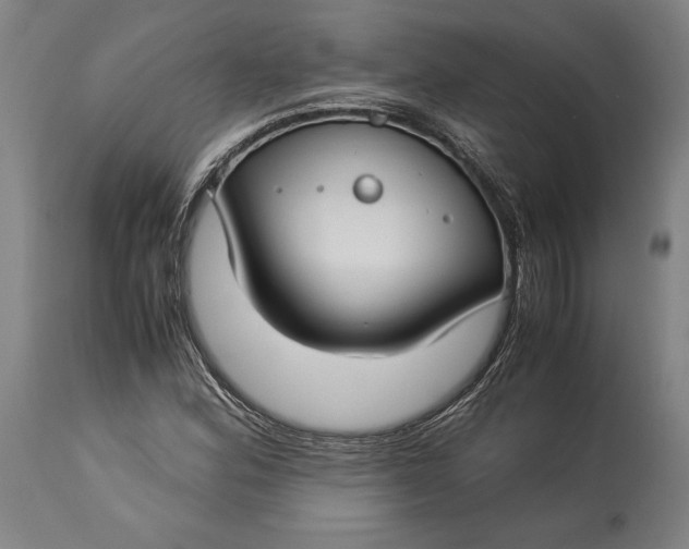 X0000115301164200911161651