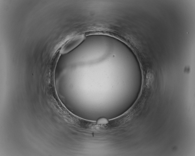 X0000115301165200911161650