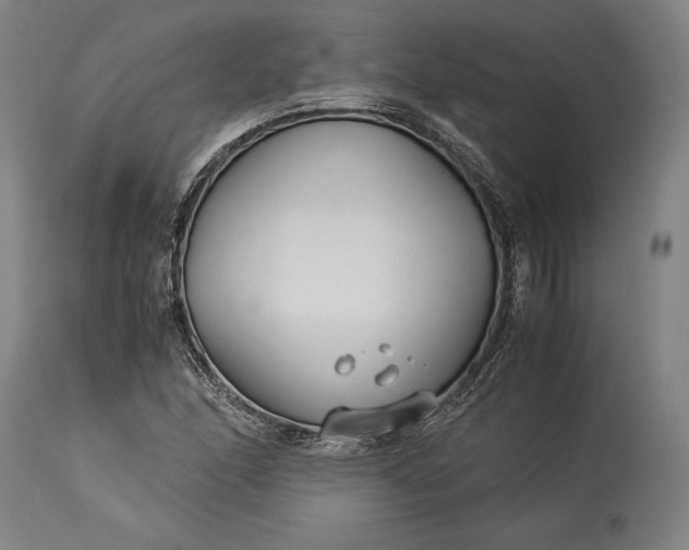 X0000115301166200911161650