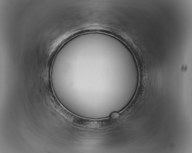 X0000115301167200911161650