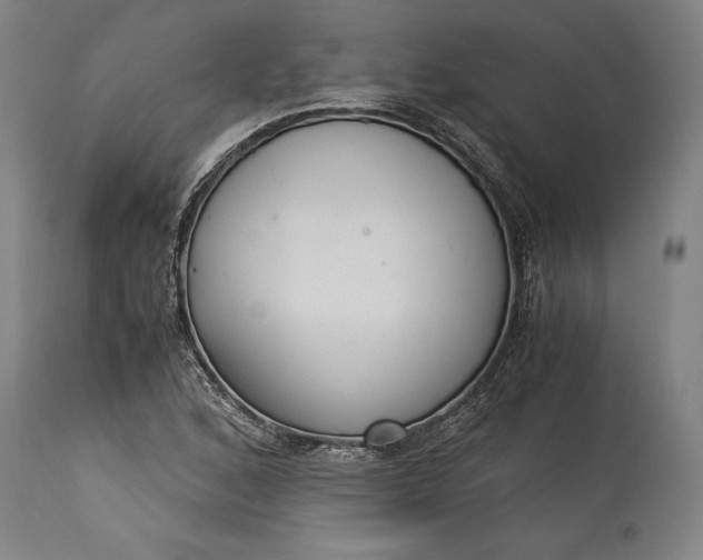 X0000115301168200911161650