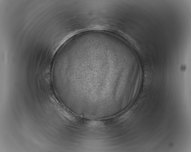 X0000115301170200911161650