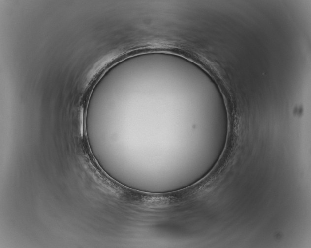 X0000115301171200911161650