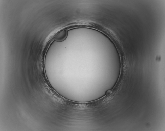 X0000115301172200911161650