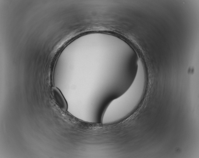 X0000115301173200911161650