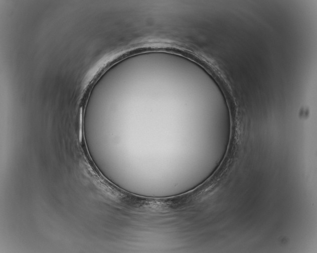 X0000115301175200911161650