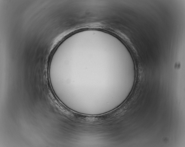 X0000115301176200911161650