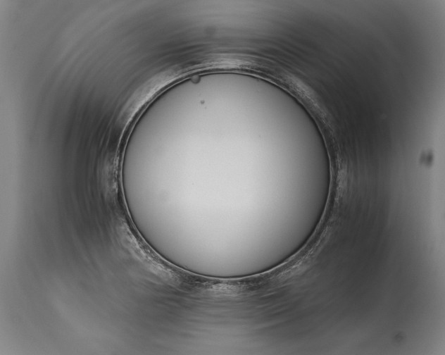 X0000115301178200911161650