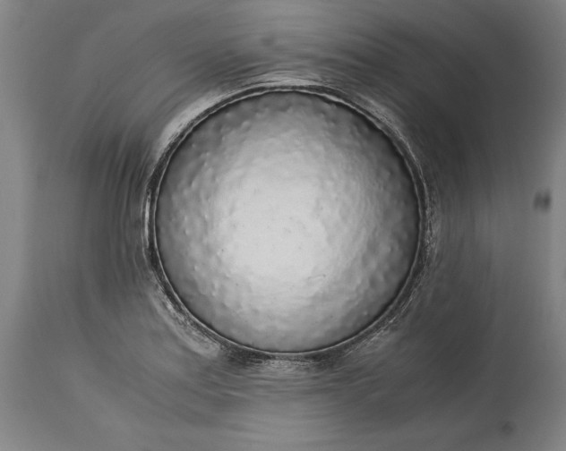 X0000115301179200911161650