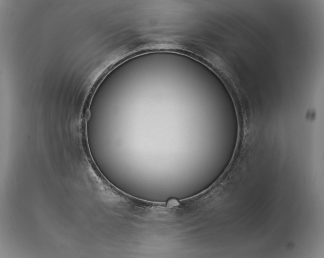 X0000115301181200911161650