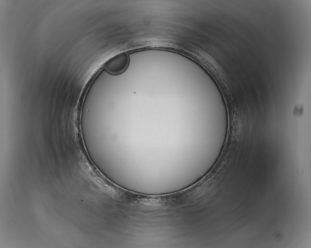 X0000115301182200911161650