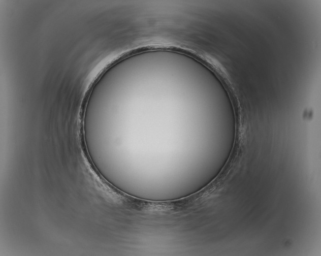 X0000115301183200911161650