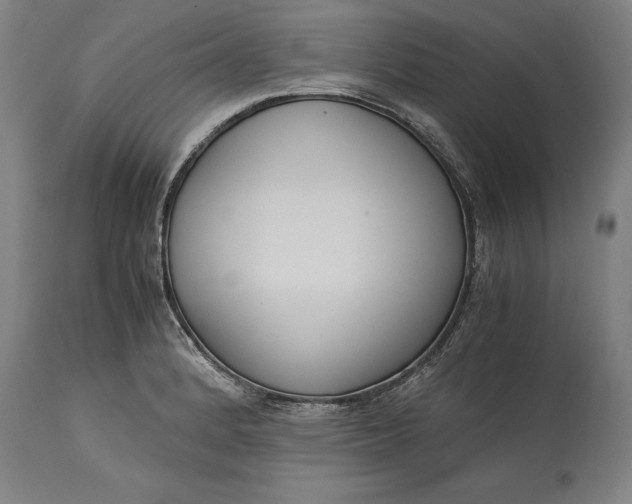 X0000115301184200911161650