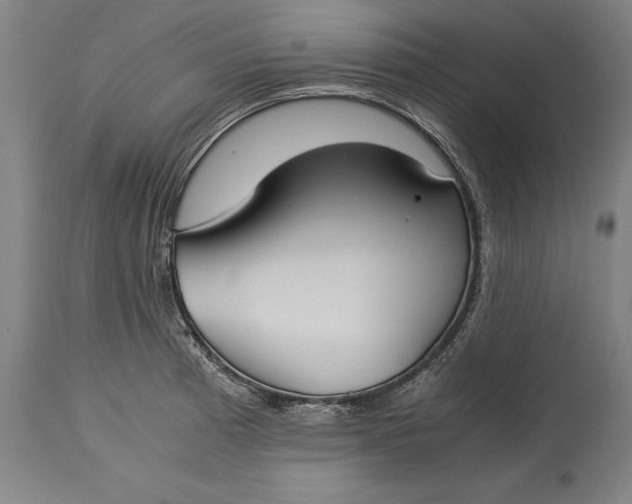 X0000115301185200911161650