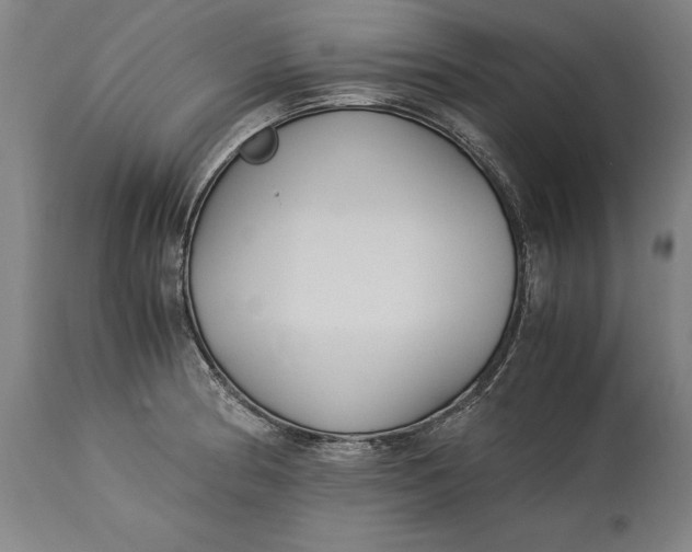 X0000115301186200911161650