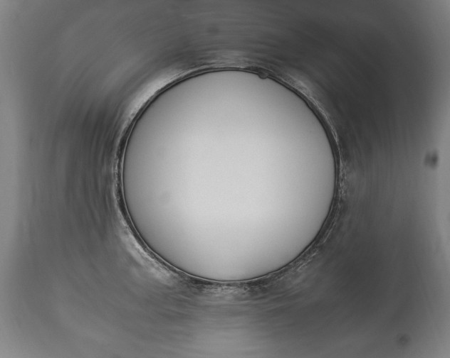 X0000115301187200911161650